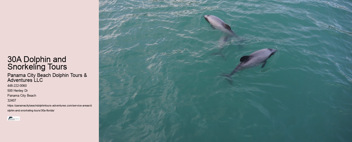 Private Dolphin Tours Panama City Beach