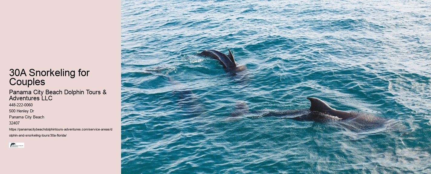 Where To Watch A Dolphin Tale