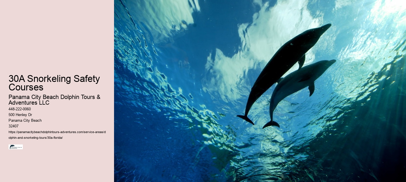 30A Snorkeling Safety Courses