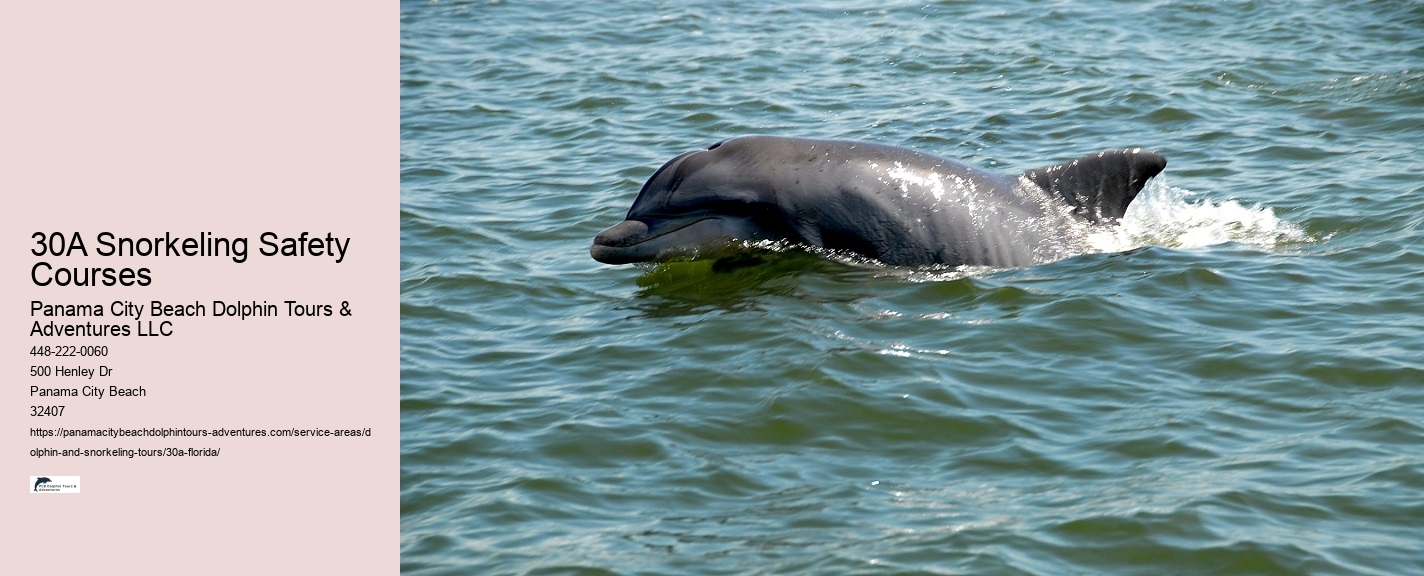 Dolphin Tours Pcb