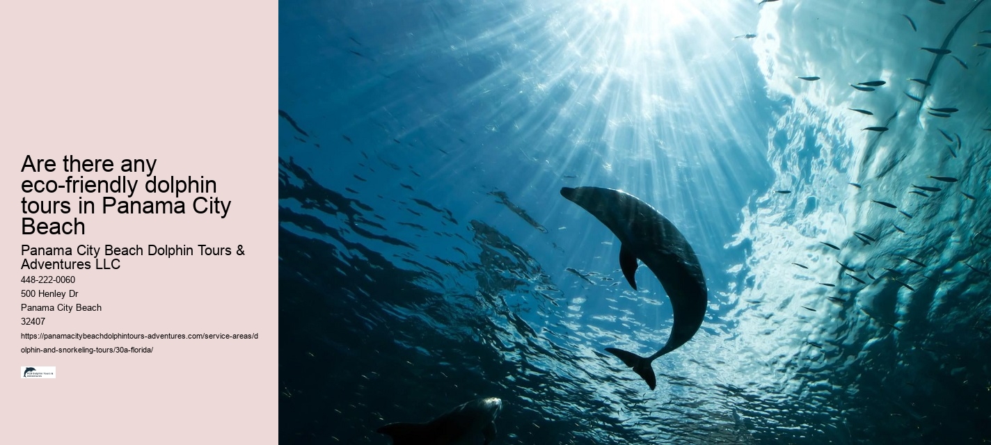Are there any eco-friendly dolphin tours in Panama City Beach