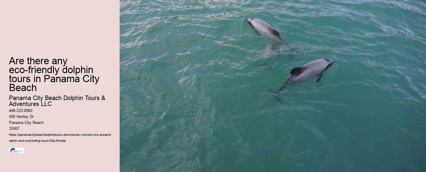 Full Moon Dolphin Watching