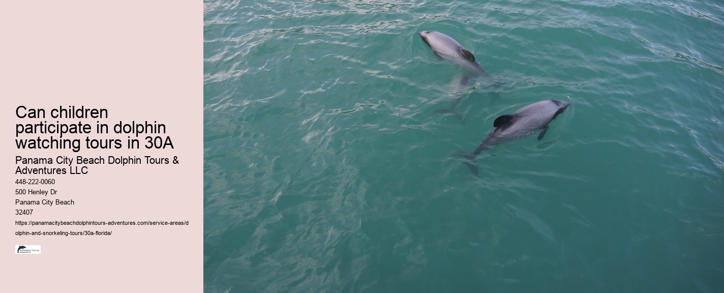 Panama City Beach Dolphin Tours