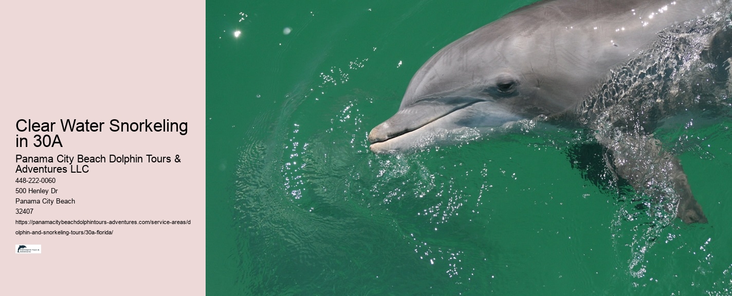 Dolphin Tour 30a