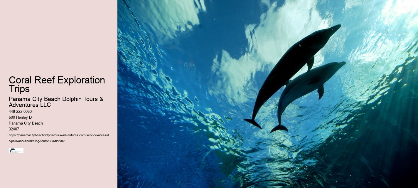 Growth in Private and Small Group Tours