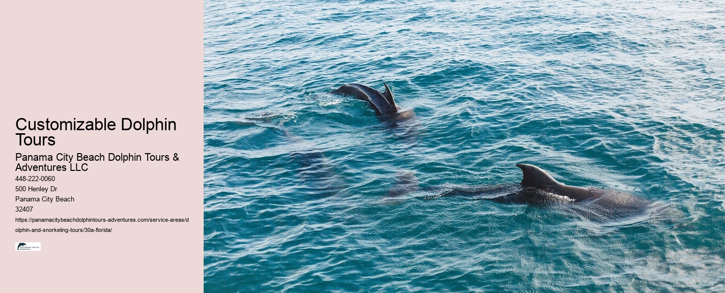 Snorkeling 30a Florida Cruise
