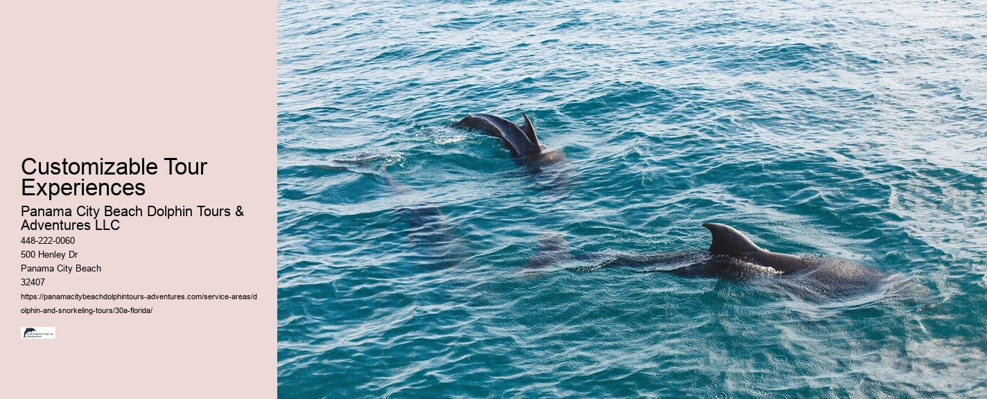 Eco Tours Snorkeling 30A