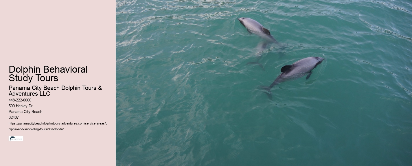 Dolphin Trainer Meaning
