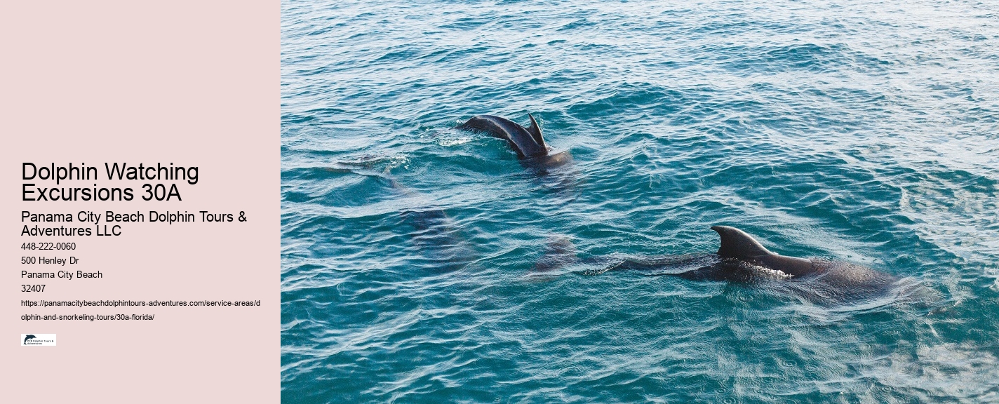 Boat Ride and Dolphin