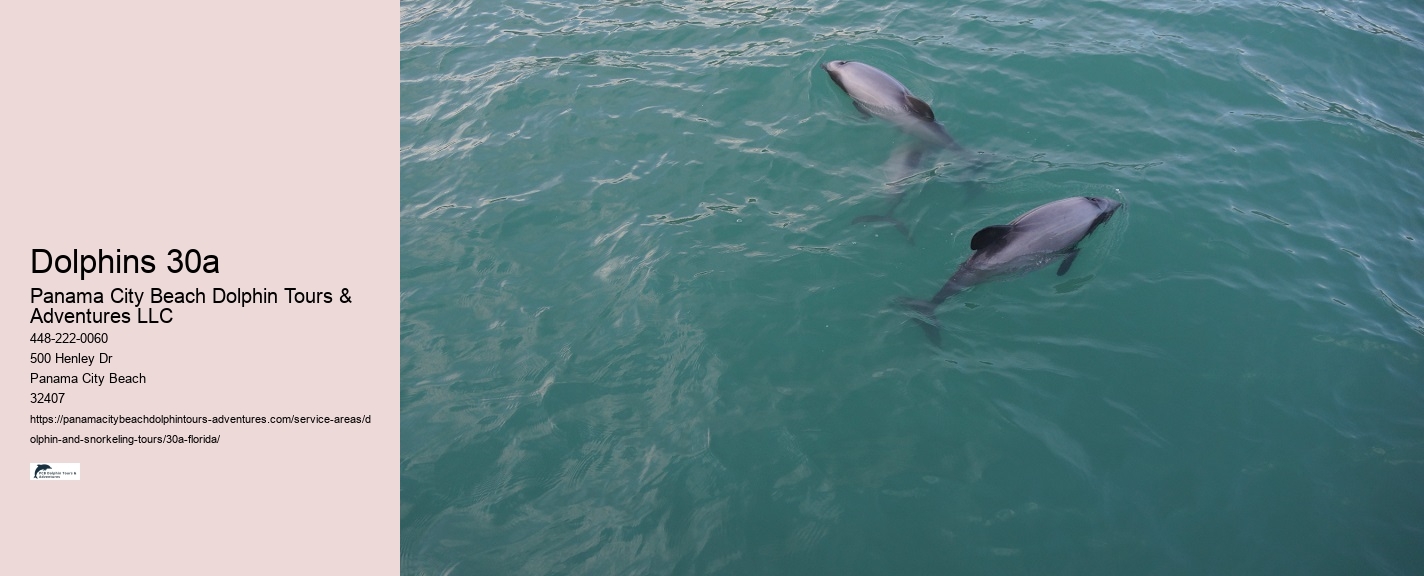 Dolphin Watch 30a