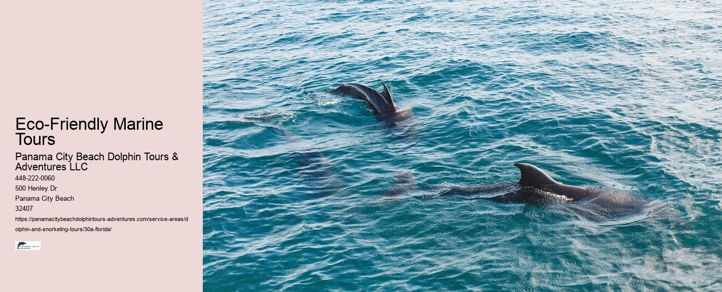 Swim with Dolphins in 30A