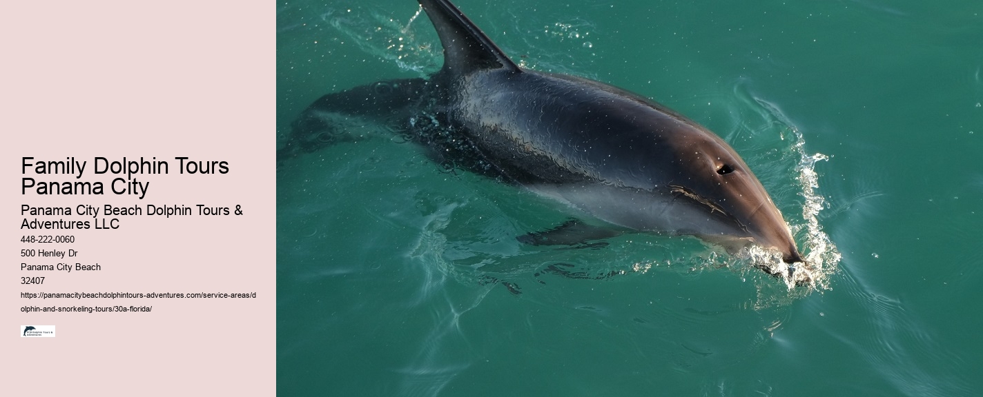 Panama City Beach Sea Life Tours