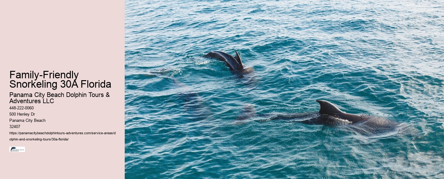 Ocean Conservation Education Tours