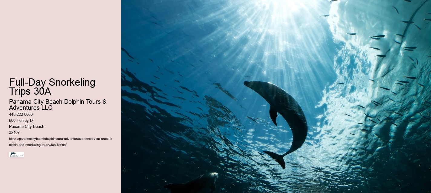 Full-Day Snorkeling Trips 30A