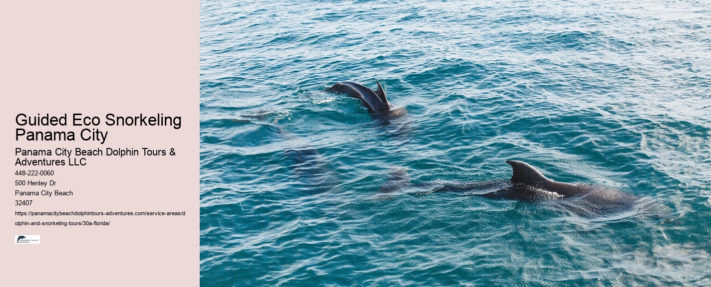 30A Snorkeling and Picnic Packages