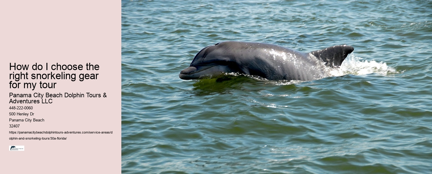 Where To Watch Boy On A Dolphin