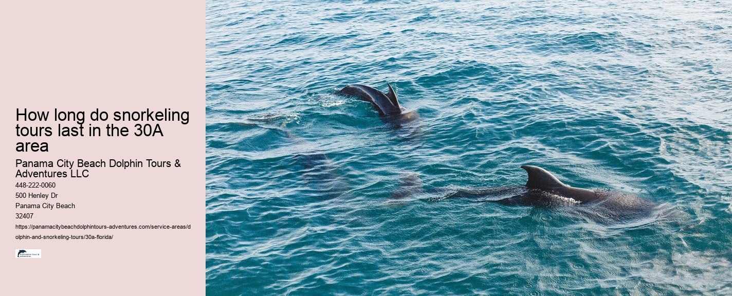 Snorkeling with Nurse Sharks