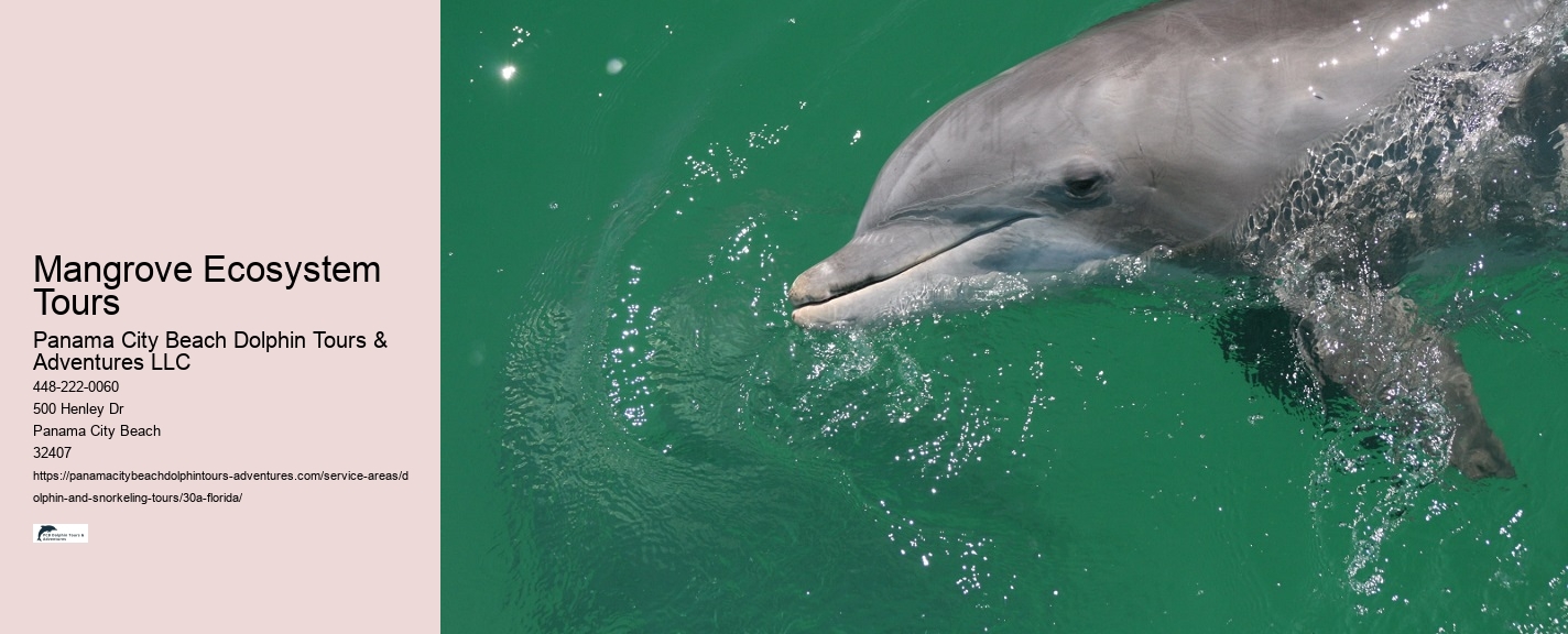 Why can't you swim with dolphins on your period
