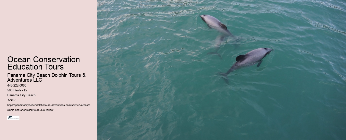 Dolphin Travels Number