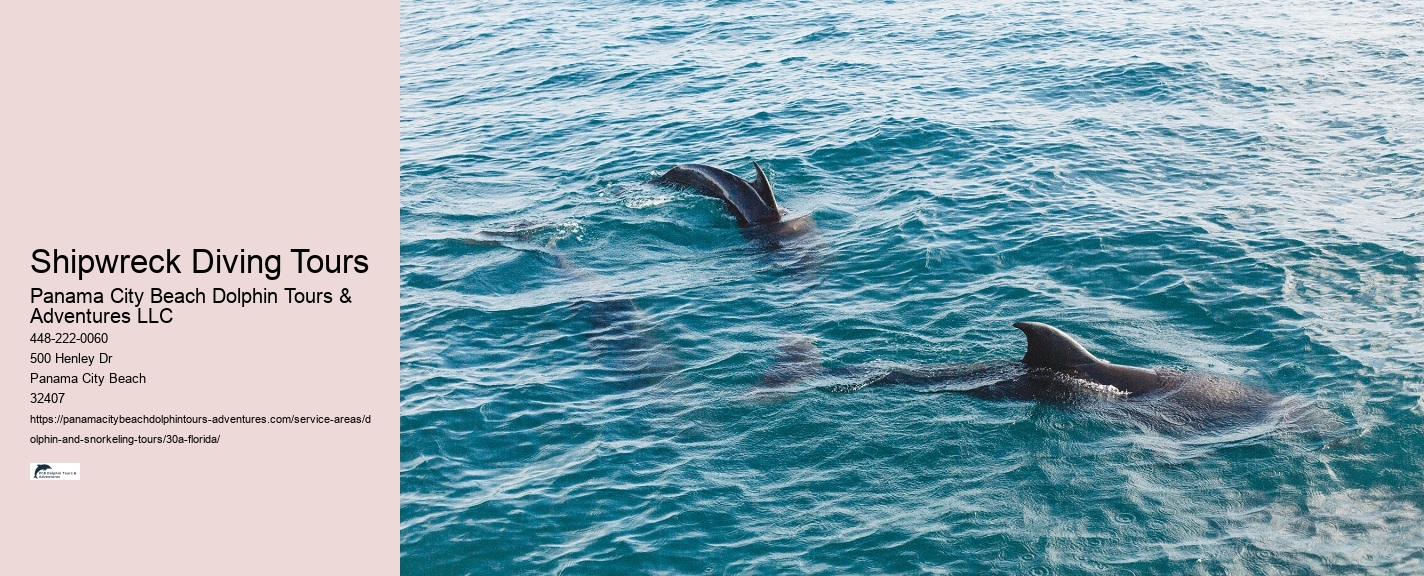 Boat Ride and Dolphin