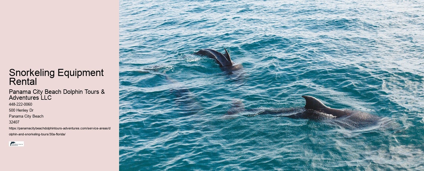 What Is Dolphin Show