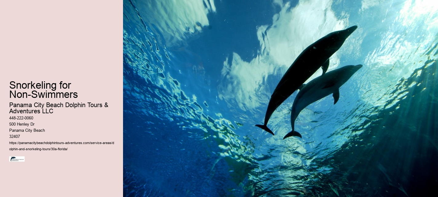 The Dolphin Exploration Tour