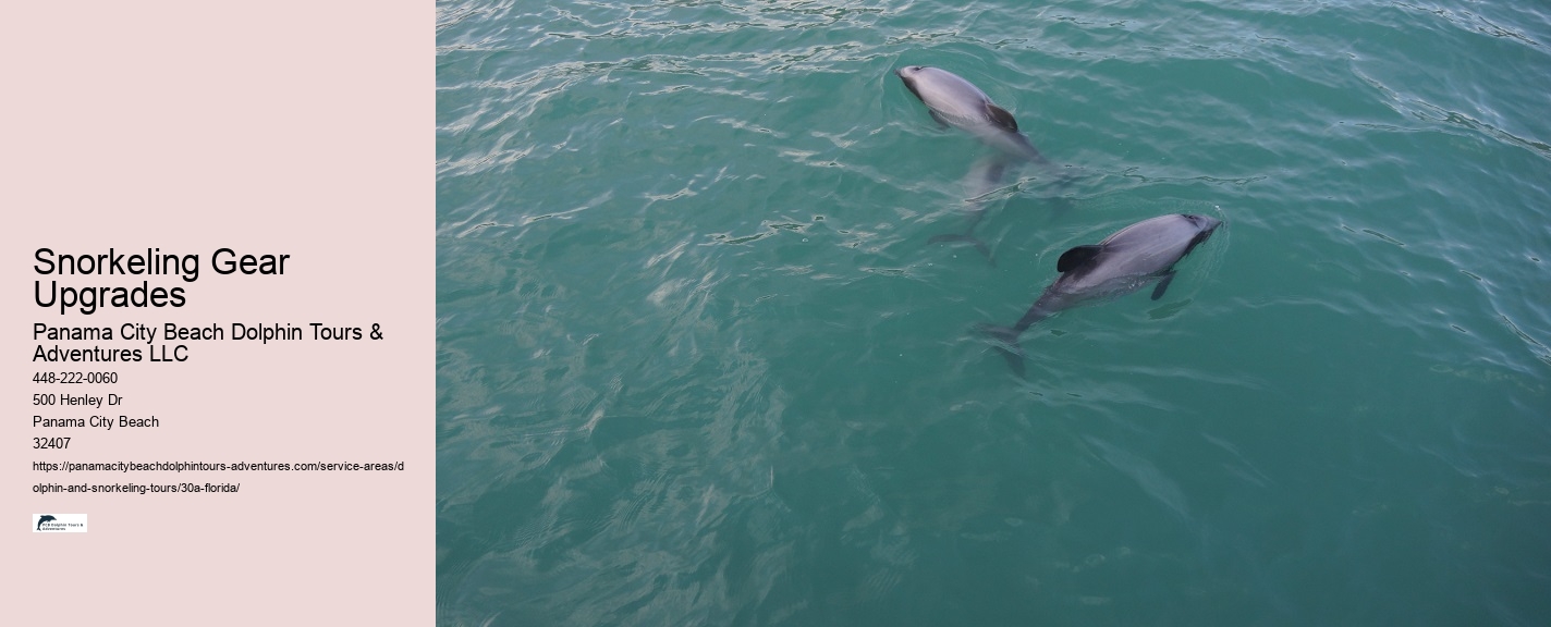 Custom Snorkeling Itineraries Panama City