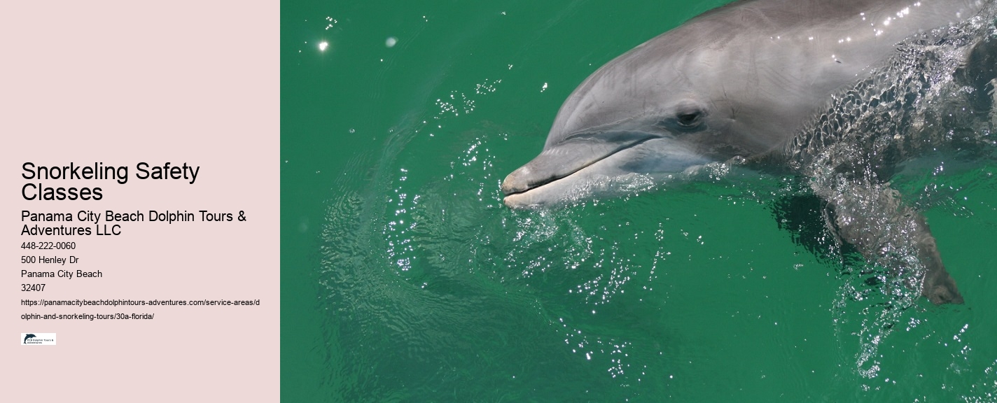 Dolphin Tours 30a