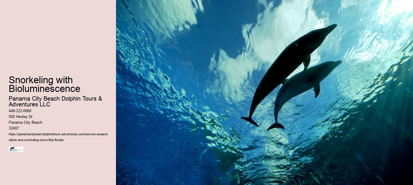Snorkeling with Bioluminescence