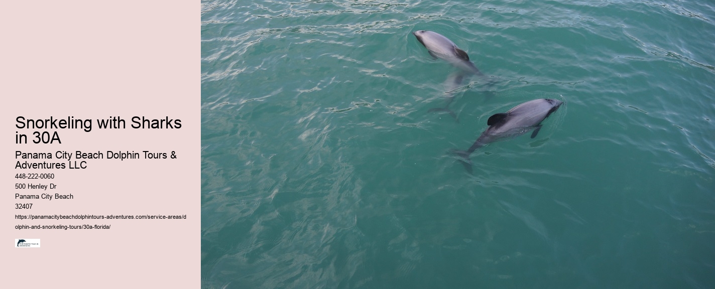 Group Snorkeling Trips