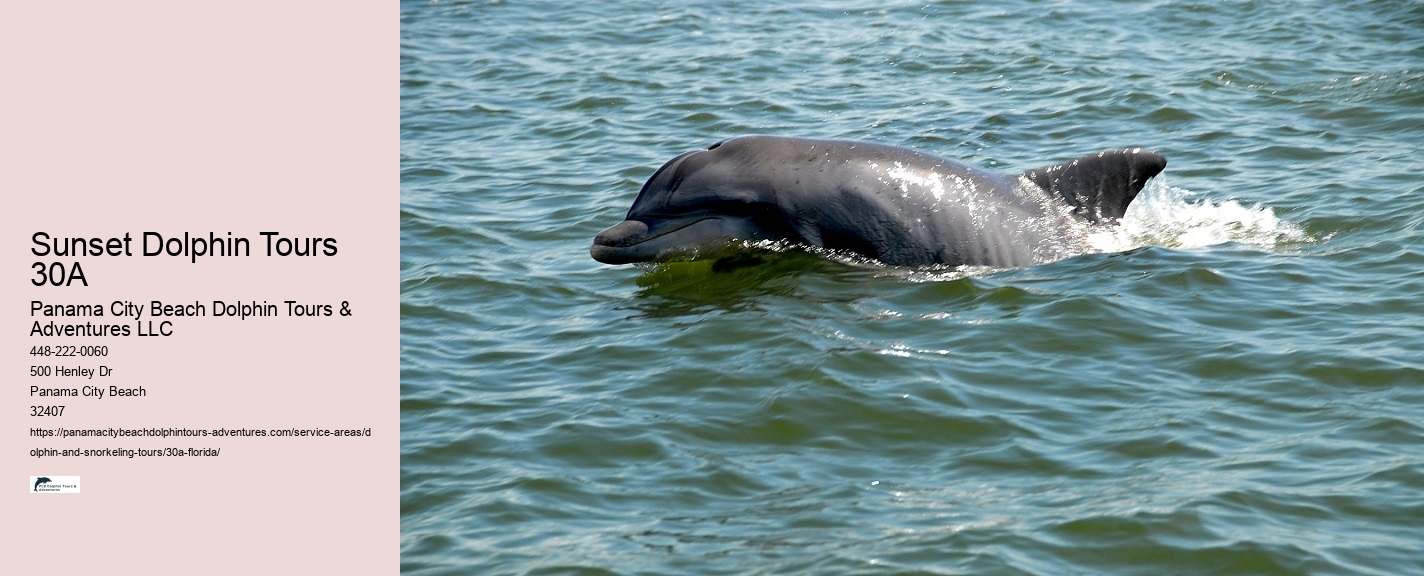 Dolphin and Snorkeling Tours 30a Florida Price