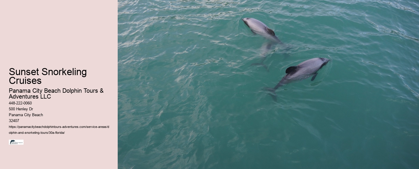Watch A Dolphin Tale Online Free