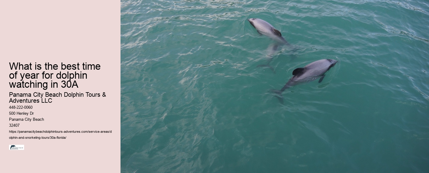 Dolphin & Snorkeling Tours Panama City Beach