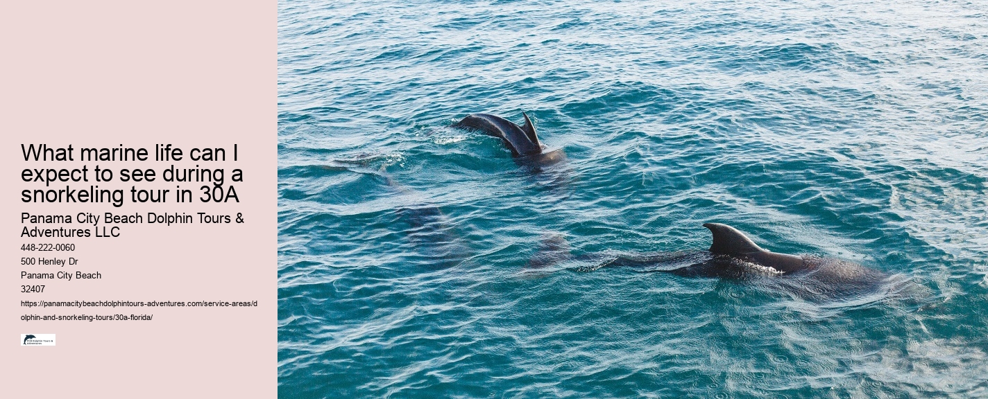 Are there any eco-friendly dolphin tours in Panama City Beach
