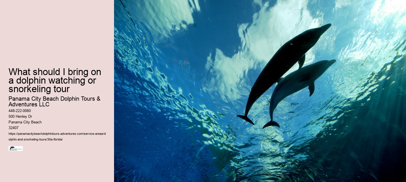 Can you swim with dolphins in 30A