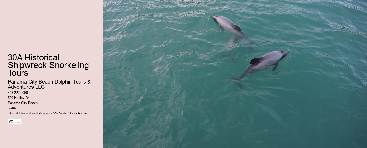 Jet Boat Dolphin Tours