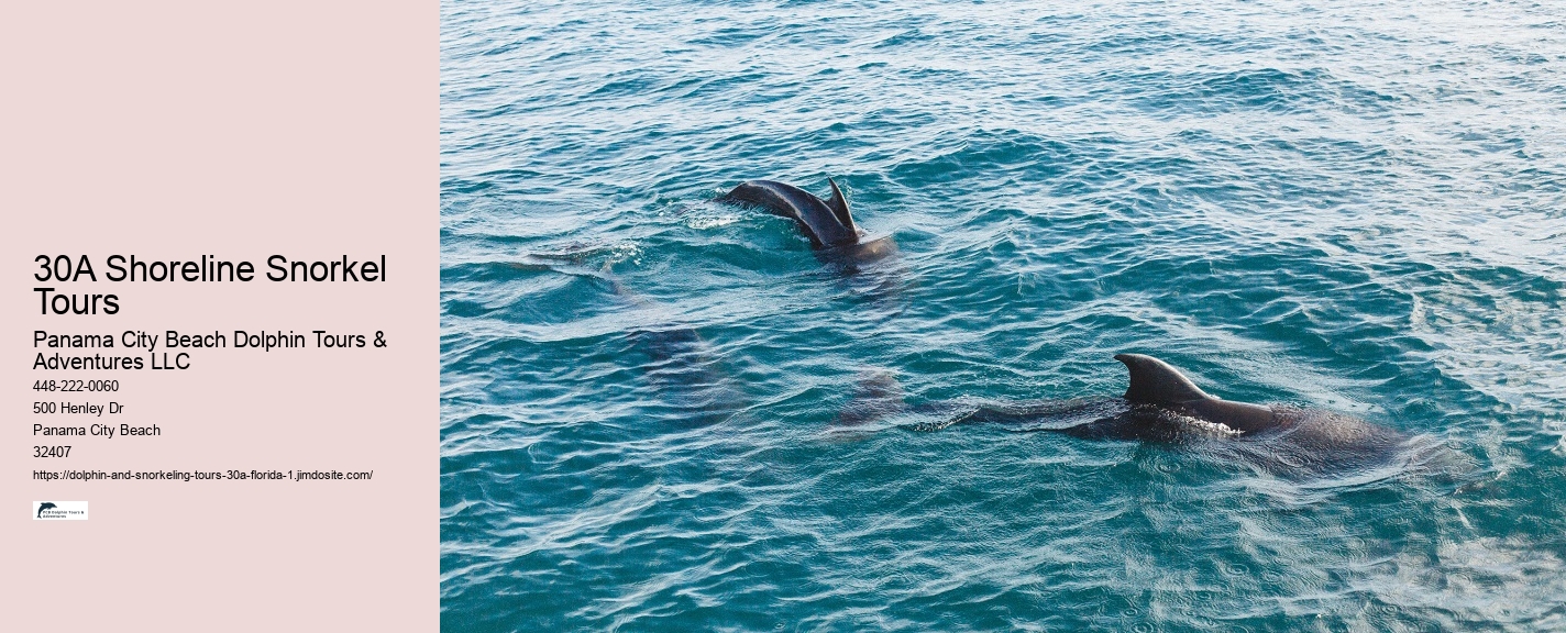 Dolphin Cruise Destin Fl