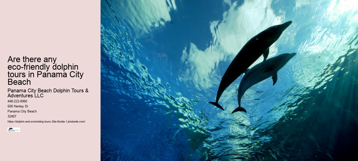 Dolphin Tours Jet