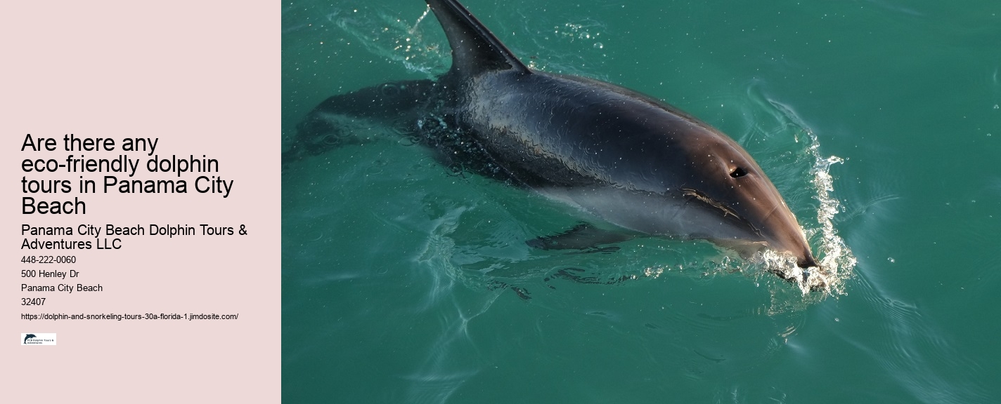Tropics Boat Tours Dolphin Or Sunset Cruise