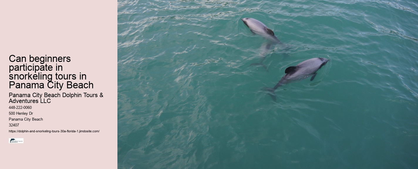 Dolphin Make Sentence