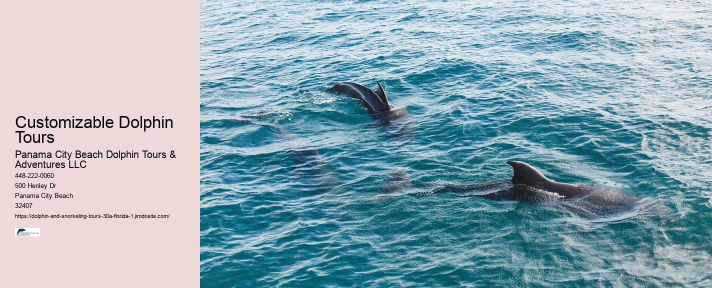 Dolphin Tours In Panama City Beach