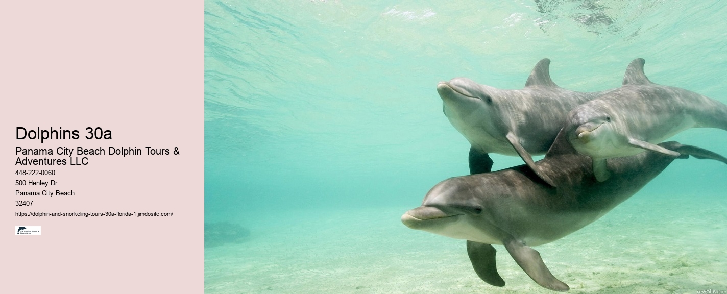 Dolphins 30a