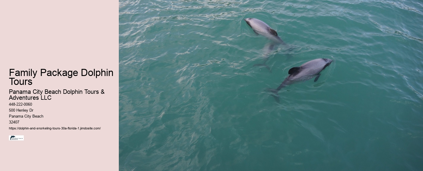 Dolphins 30a