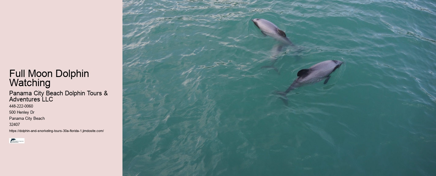 Best Dolphin and Snorkeling Tours 30a Florida