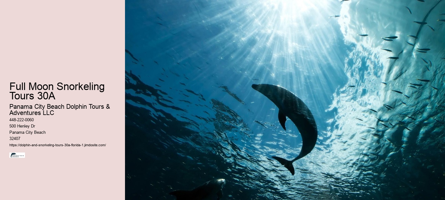 Snorkeling and Dolphin Tour