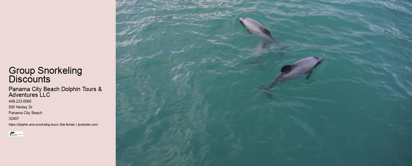 Florida Keys Swim With Dolphin Tours and Tickets