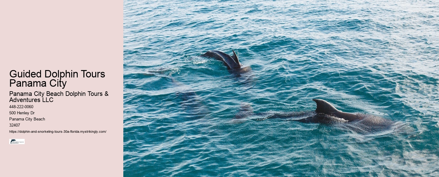 Private Dolphin Tours Panama City Beach