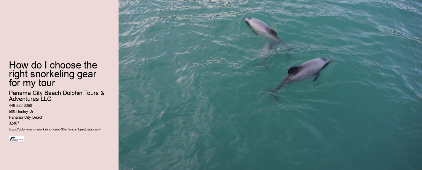 Snorkeling and Dolphin Tour