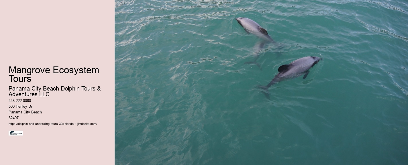 Watch A Dolphin Tale Online Free