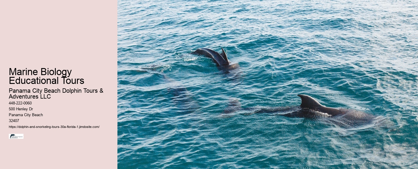 30A Snorkeling Reservation Services